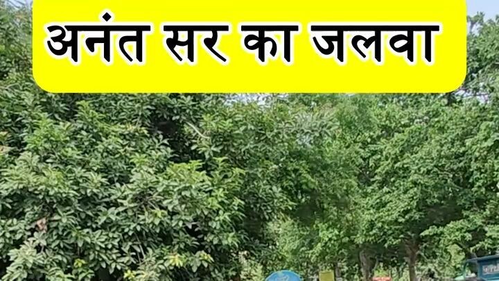 MATHS KING ANANT SIR के लिए STUDENT का प्यार ❤️  #viral #trendingshorts