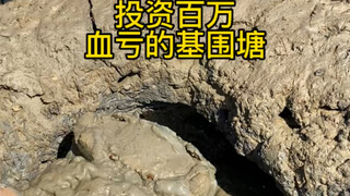 去基围塘抓叫蟹不肉的蟹