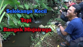 Asyiknya Mancing Ikan Mujair di Selokan Kecil