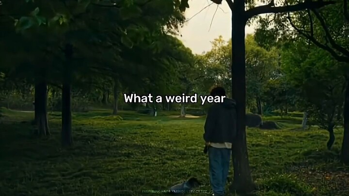 What a weird year...!