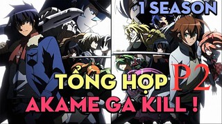 Tóm tắt "Sát thủ Akame" | P2 | AL Anime