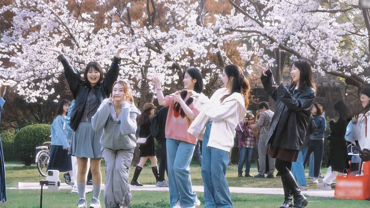 Fate🌸 in front of the cherry blossom trees at Fudan University with my best friend