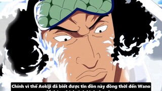 Mục Đích Của Aokiji Khi Đến Wano - Yamato Sẽ Vào Băng Mũ Rơm _ 9
