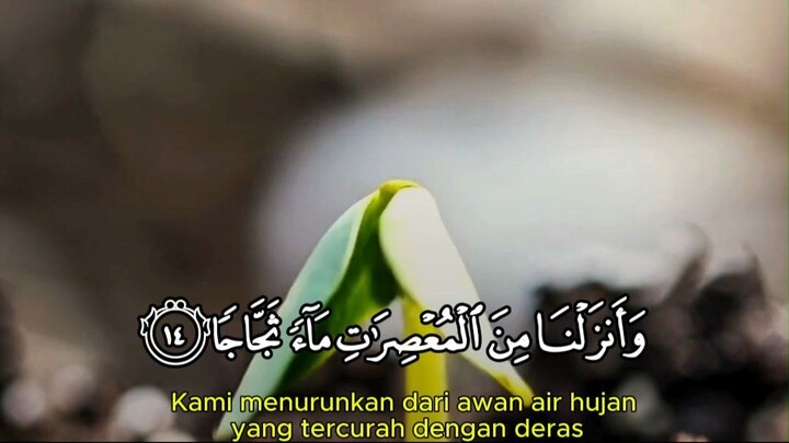 Murattal Surah An Naba