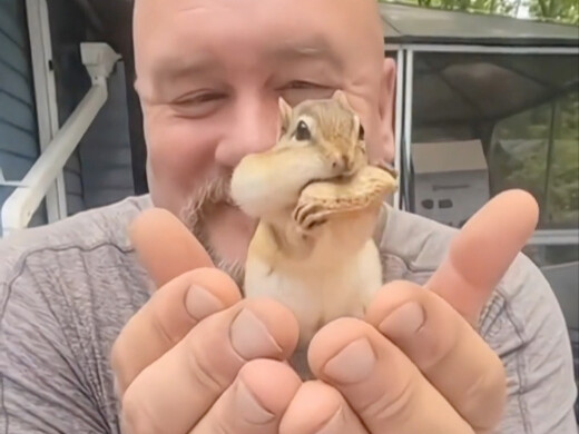 Paman ini setiap hari rajin berlatih satu gerakan demi bisa memotong kalung di leher seekor tupai ke