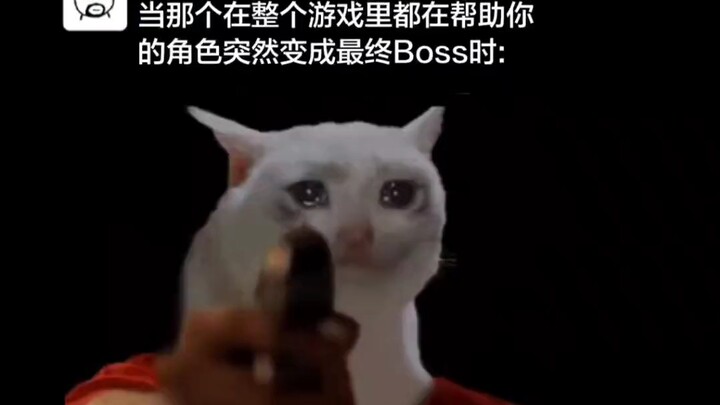 เมื่อตัวละครที่คอยช่วยเหลือคุณมาตลอดทั้งเกม จู่ๆ ก็กลายเป็นตัวร้ายสุดท้าย แล้วก็ทำท่าแบบนี้: