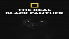 Black Panther full movie : Link in Description