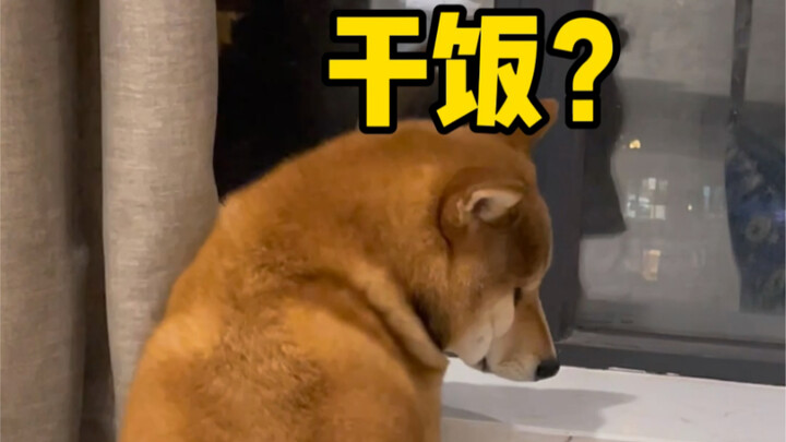 妈妈的好大儿（瞅俩点了）