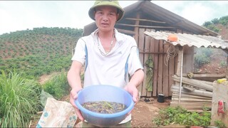 NỒI CHÁO BỌ NGỰA CỦA CHÚ ANH • Nương Xa Phần II - Tập 04 (Hết)