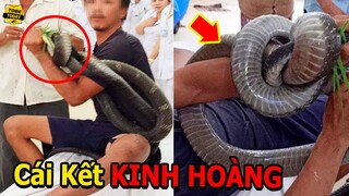 🔴Bị Hổ Mang Chúa Khổng Lồ Núi Bà Đen Tấn Công Người Đàn Ông Nhận Cái Kết Không Thể Tin Nổi