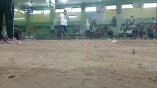 JCF Backyard vs tisoy