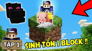 THỬ THÁCH SINH TỒN TRÊN 1 BLOCK | Tập 1 | Cưỡi Heo Trên Trời Và Cái Đầu Rồng !!
