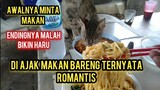 Subhanallah Kucing Jalanan Minta Makan Dan Seneng Banget Saat Di Ajak Makan Bersama Lihat Endingnya.