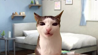 [Cat meme] ชีวิตที่น่าเศร้าของฉันหลังจากพ่อแม่ที่ห่างกัน 30 ปีขึ้นไปหย่าร้างเพราะประโยคเดียว