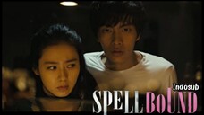 Spellbound 2011 | Indosub