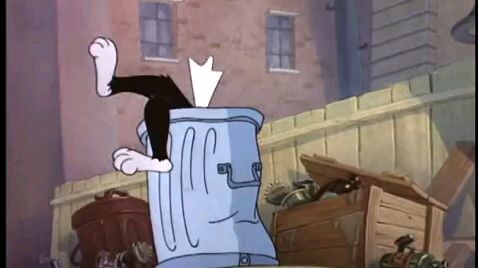 Tom and Jerry Casanova cat