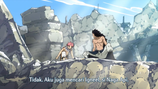 E29 -  Fairy Tail