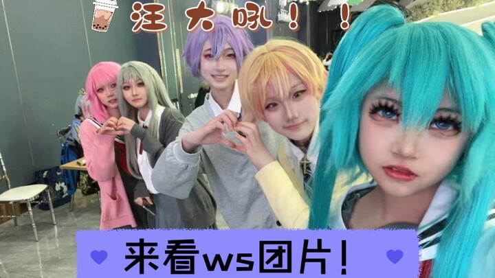 来看看平均年龄14岁的微笑调查队吧！（认为我是在引流那抱歉