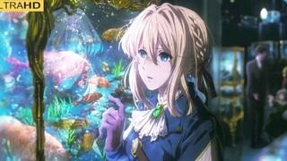 [MAD·AMV] "Violet Evergarden" Sorry, I Like You"