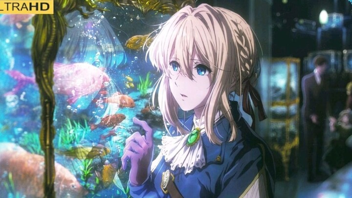 【Violet Evergarden】"Sorry, I like you"