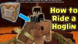 How to ride a Hoglin in Minecraft using a Command Block