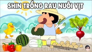 Shin Trồng Rau Nuôi Vịt | Shin Cậu Bé Bút Chì Tổng Hợp Tập Mới Hay Nhất Phần 807 | #CHIHEOXINH