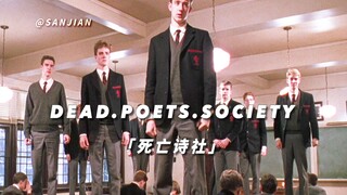 永远不要只满足于世界的表象，要敢于探寻未知的可能