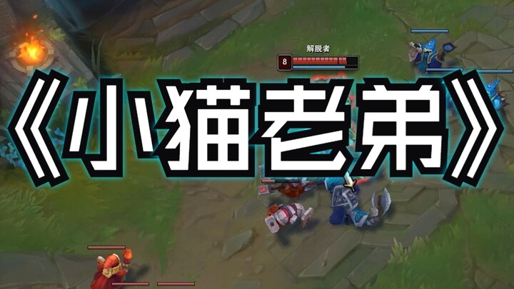 小猫老弟~