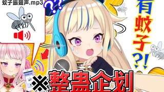 【某方面算恐怖企划】一直听见蚊子声的整人企划将引起波澜...！？