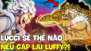 ROB LUCCI SẼ LÀM GÌ KHI GẶP LẠI LUFFY?! | LIỆU LUFFY SẼ CHIẾN ĐẤU VỚI ROB LUCCI