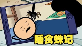 氰化欢乐秀：《宿舍食蛛日记》！