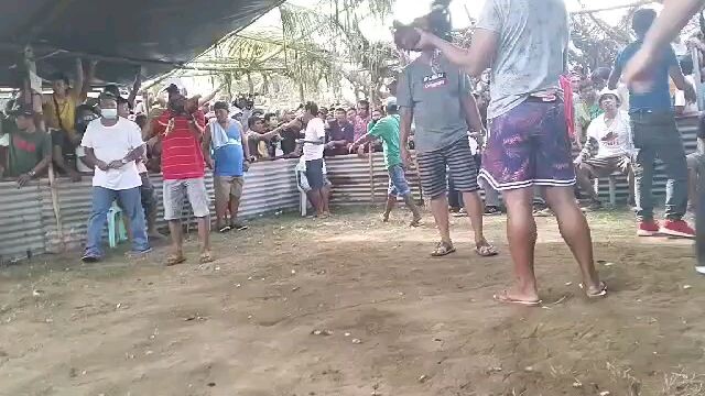 #fiestaulotan!!