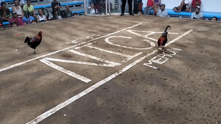 Balda kaliwa WIN unscrqtch @NICA