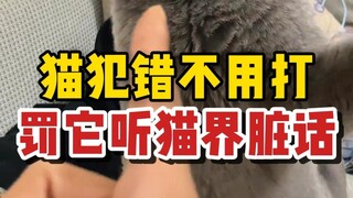 What to do if your cat makes a mistake? Punish it by listening to dirty words 🤬!