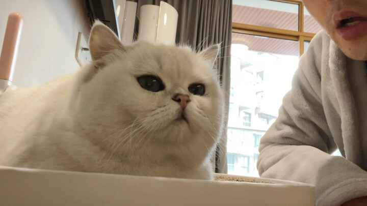 Liệu Lãn Lãn sẽ phản ứng thế nào nếu cứ bị thổi hơi vào?