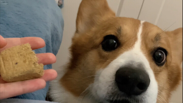 Saat aku memberi si kecil camilan, tiba-tiba dia berpura-pura tertidur…