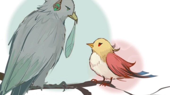 Gifting feathers, seeking a mate