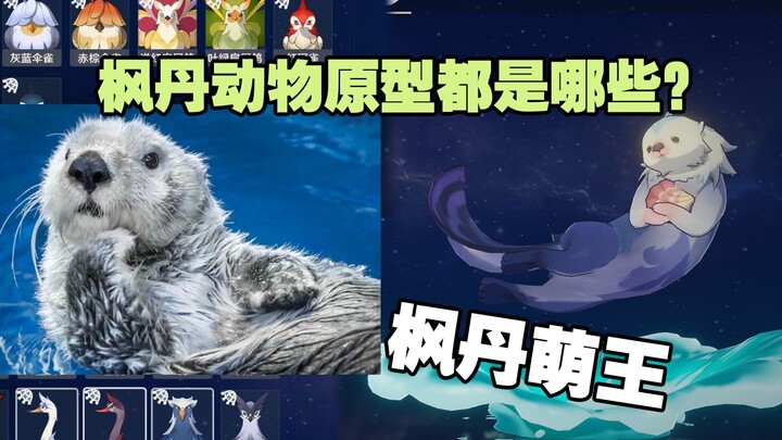 What real-life animals are the inspirations for the creatures in Fontaine?