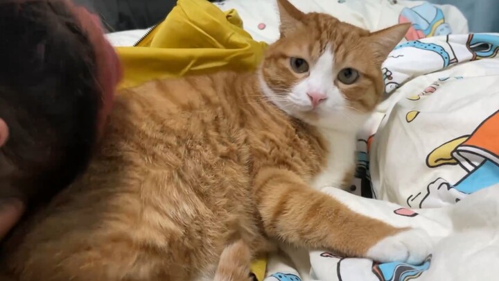 Người này chắc hẳn có chút vấn đề ( '-ωก̀ )