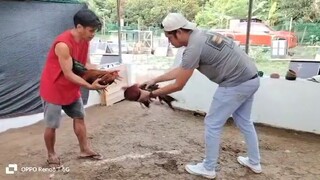 Test Spar