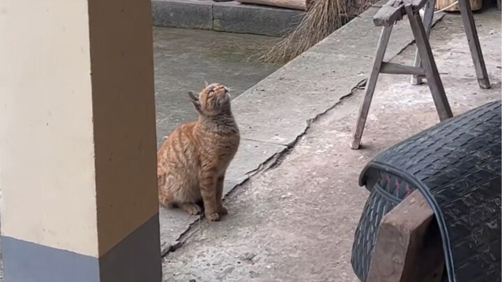 ไม่คาดคิดเลยว่าเธอจะกระโดดขึ้นไปทันทีเลย