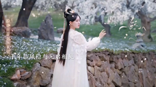 所有人都看出了古晋对阿音的不同,只有古晋自己爱而不自知,千年后元启与凤隐再一次相遇,然而元启早就死在了千年前,如今的元启不过是一缕残魂。