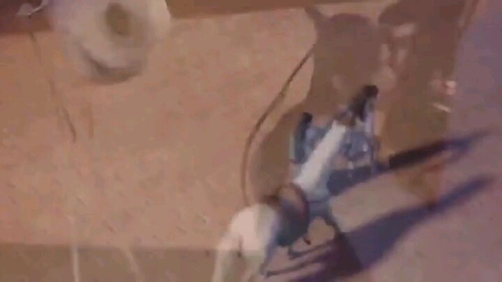 [AMV] Xiang Shu x Chen Xing | Epic of Divinity Light | Unstoppable