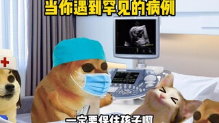人的无知有多可怕