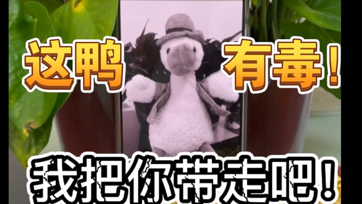 This duck is poisonous! Watch with caution! Don't laugh too hard—easy to get hit!