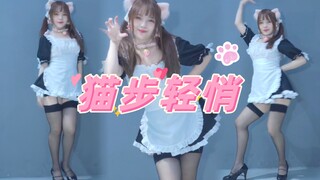 到底是谁家的小胖猫啊？一点都不轻悄【猫步轻悄-AOA】