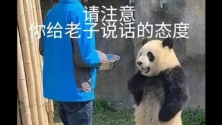 “卧槽，终于找到原版了”