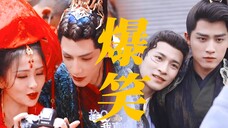 谁规定男N号不能有官配的!廿白羽努力起来白鹿都自闭了