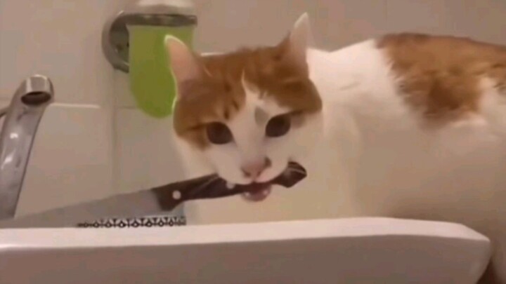 If you’re not fierce enough, you won’t be able to stand your ground!!!