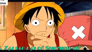 Tại sao lại có Thất Vũ Hải_! _ Sự Thật về Những Hải Tặc theo phe Chính Quyền trong One Piece p7